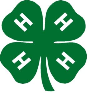 4 H Youth Development Grimes 4 H Youth Development Grimes